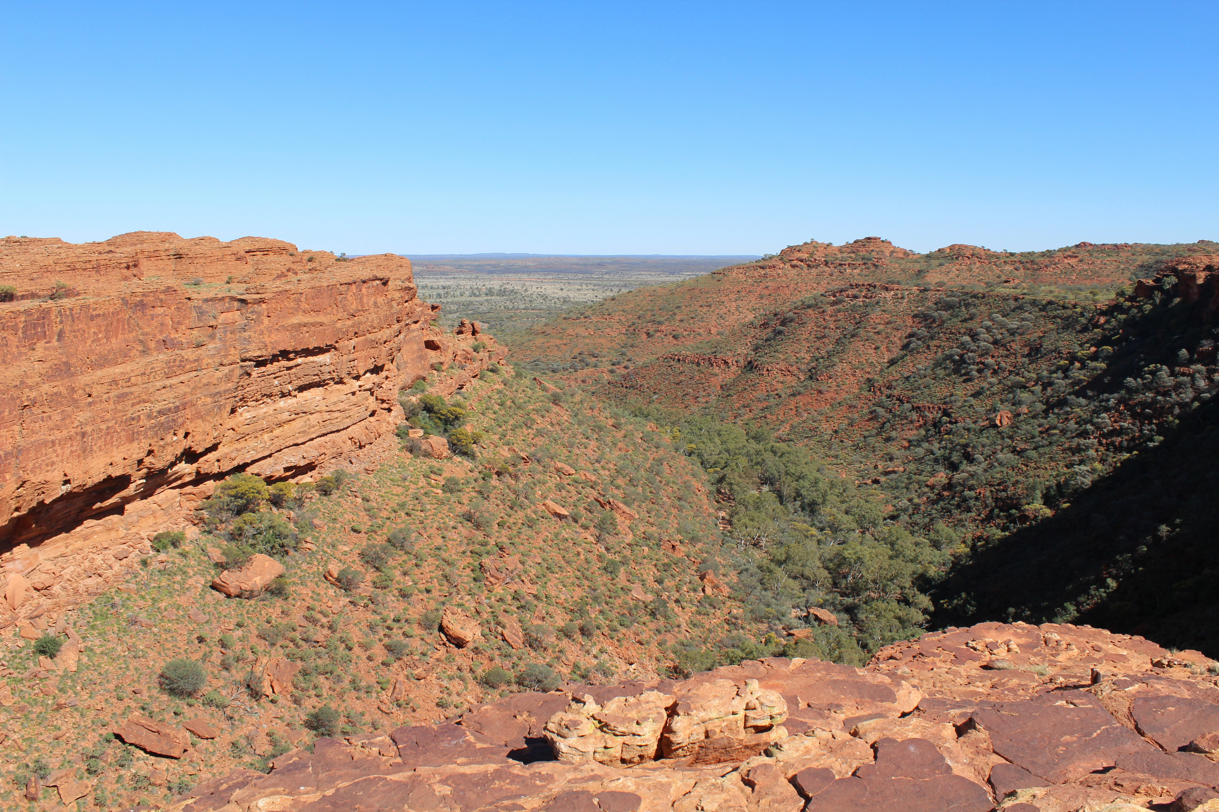 kings canyon, northern territory (4).webp